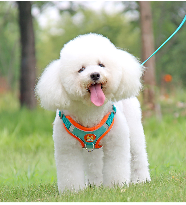 犬 ハーネス やわらか安心ハーネス