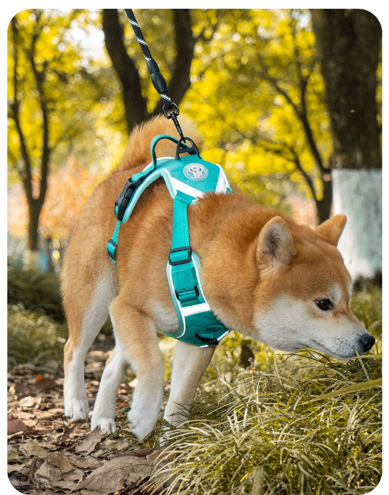犬 ハーネス やさしさ包む快適ハーネス