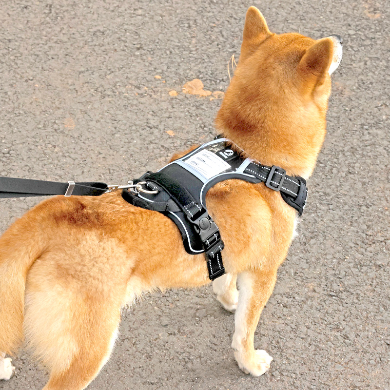 犬 ハーネス 軽量スタイリッシュ ホールドハーネス