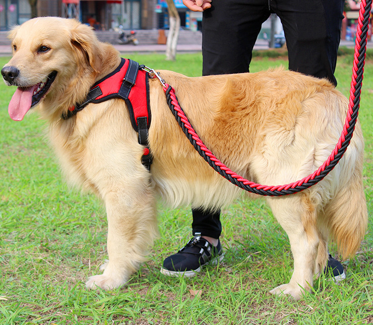犬 ハーネス 職人手編み散歩ハーネス