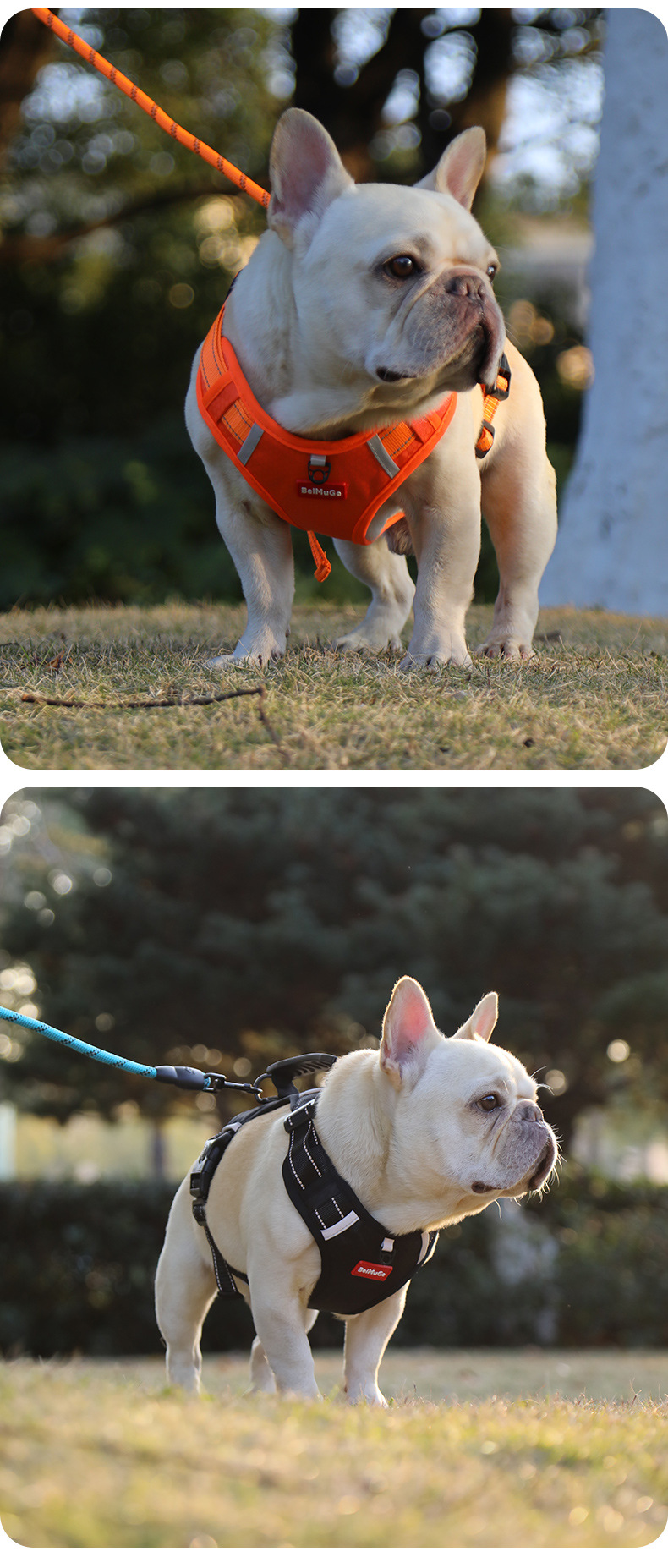 犬 ハーネス 機能性重視の軽量ハーネス
