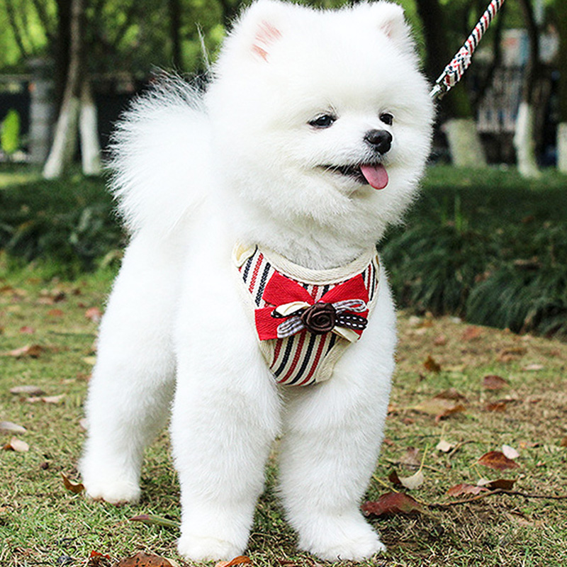 犬 ハーネス リボン付きストライプ ハーネス