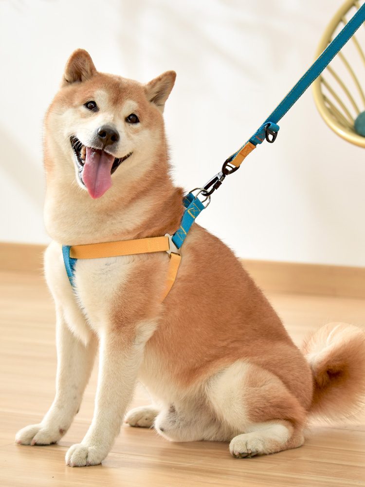 犬 ハーネス やさしさ包む シンプル基本ハーネス
