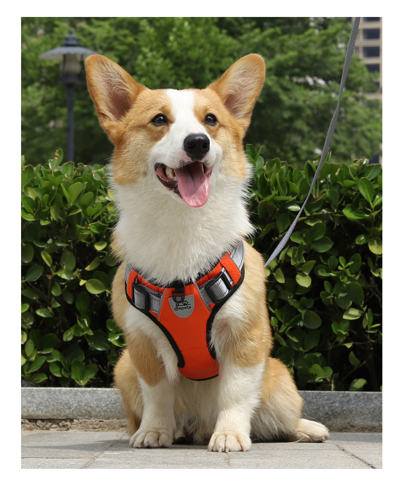 https://fulmo-img-server.com/wonderfulharness/1d730281-2fe5-4d77-9cc4-3fa3f8635039.jpg
