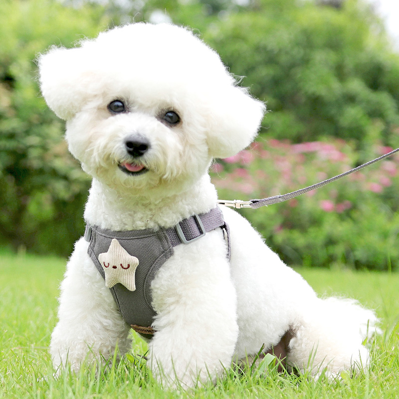 犬 ハーネス お花のついたふんわりハーネス