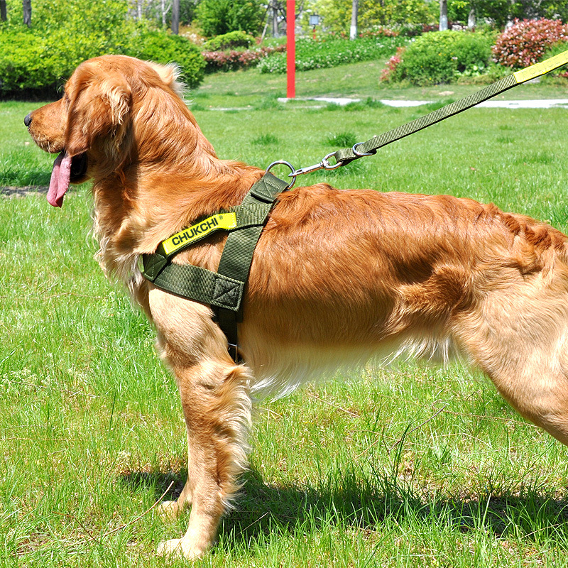 犬 ハーネス アウトドア軽量メッシュハーネス