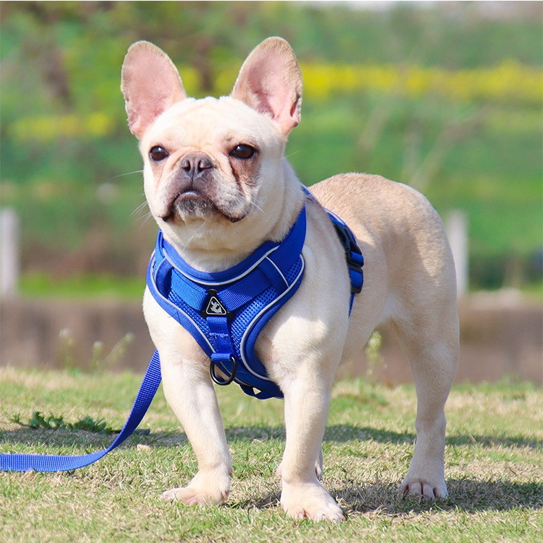 犬 ハーネス やさしい癒しのペットハーネス