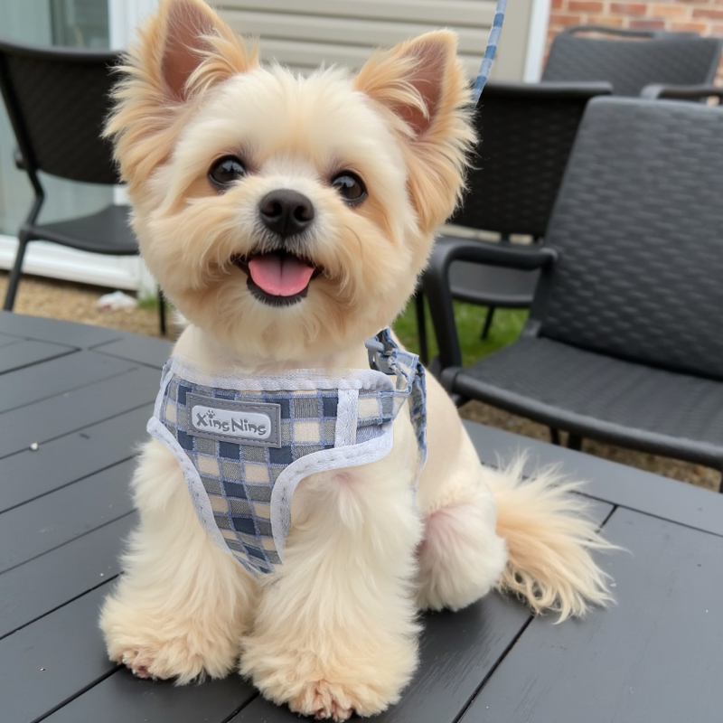 犬 ハーネス モザイク模様のお散歩ハーネス