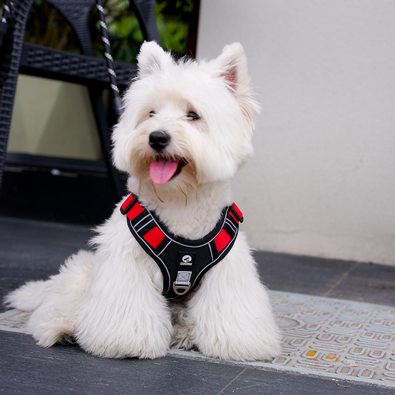 犬 ハーネス ふわもこペット用ハーネス