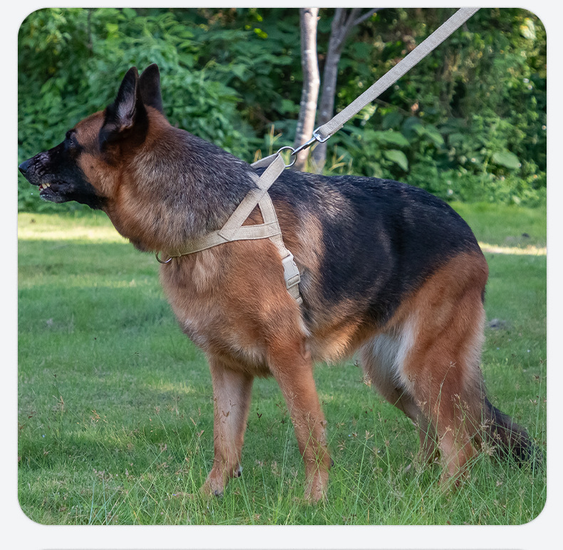 犬 ハーネス こだわり職人の軽量ハーネス