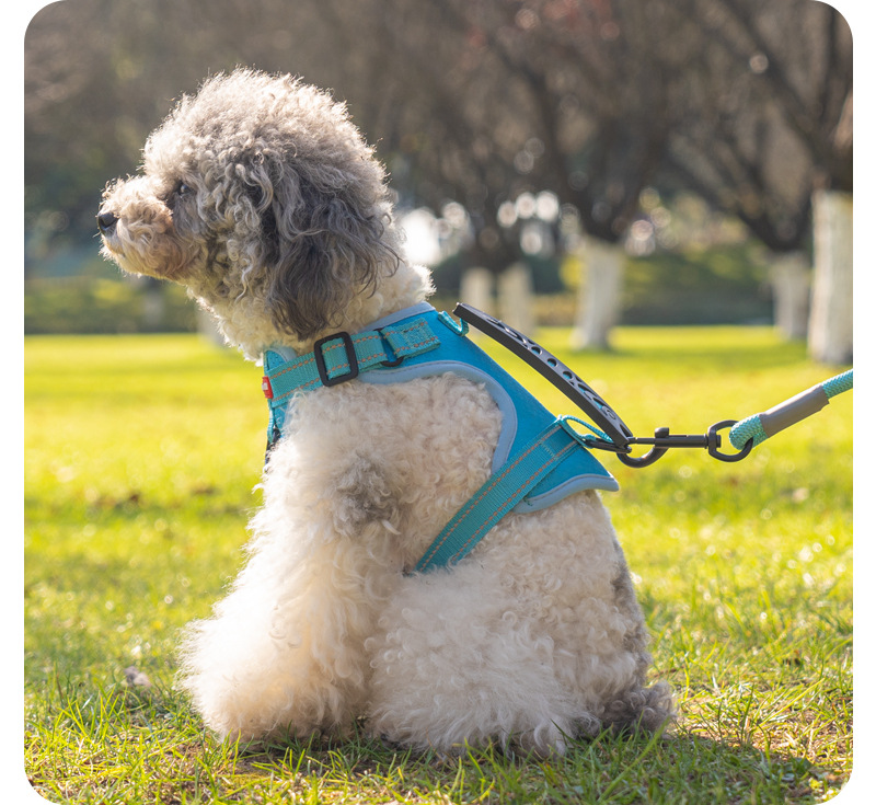 犬 ハーネス やさしい装着感 軽量メッシュハーネス