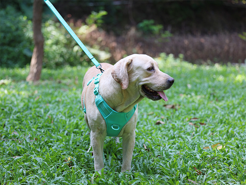犬 ハーネス やさしさ包む 軽やか ベーシックハーネス