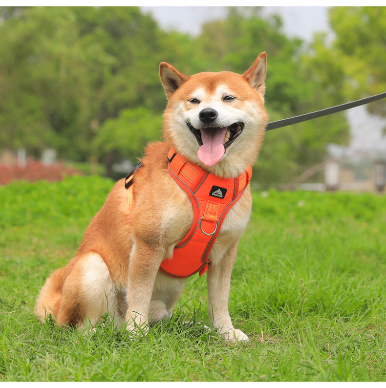 犬 ハーネス 風格漂う職人仕立てハーネス