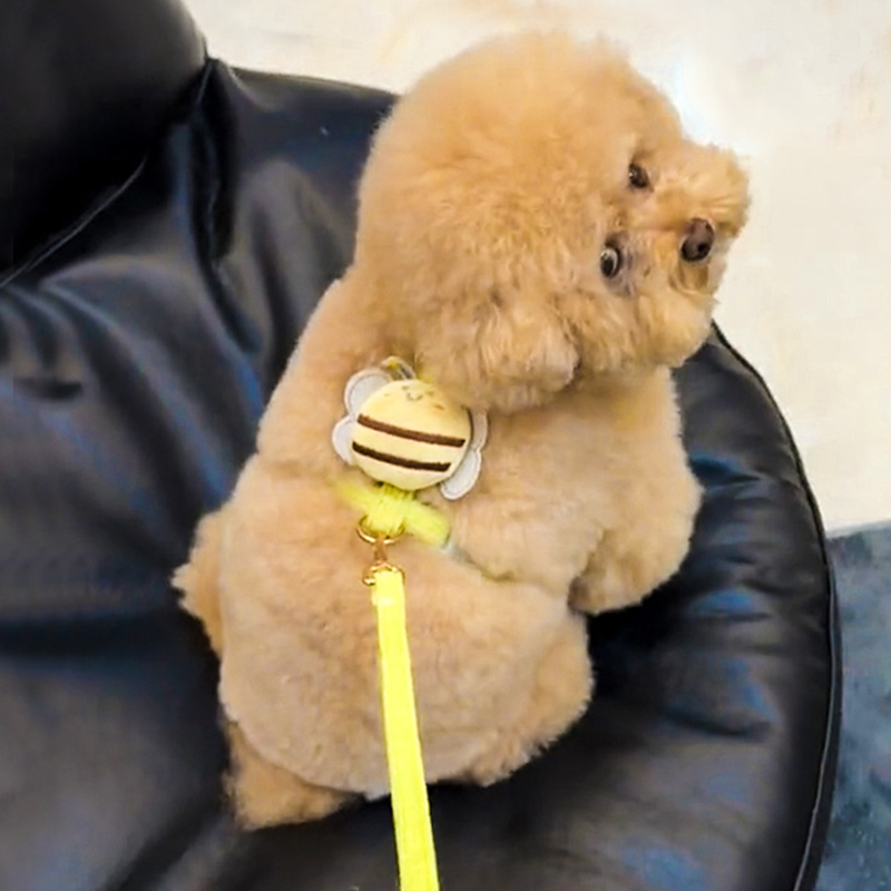 犬 ハーネス みつばち型アクセントハーネス