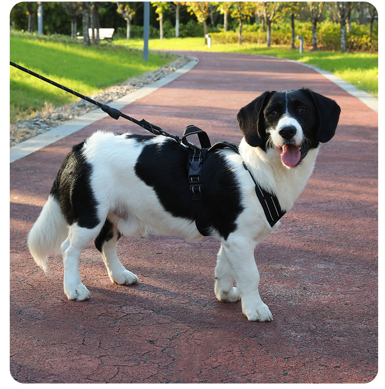 犬 ハーネス シームレス快適ハーネス