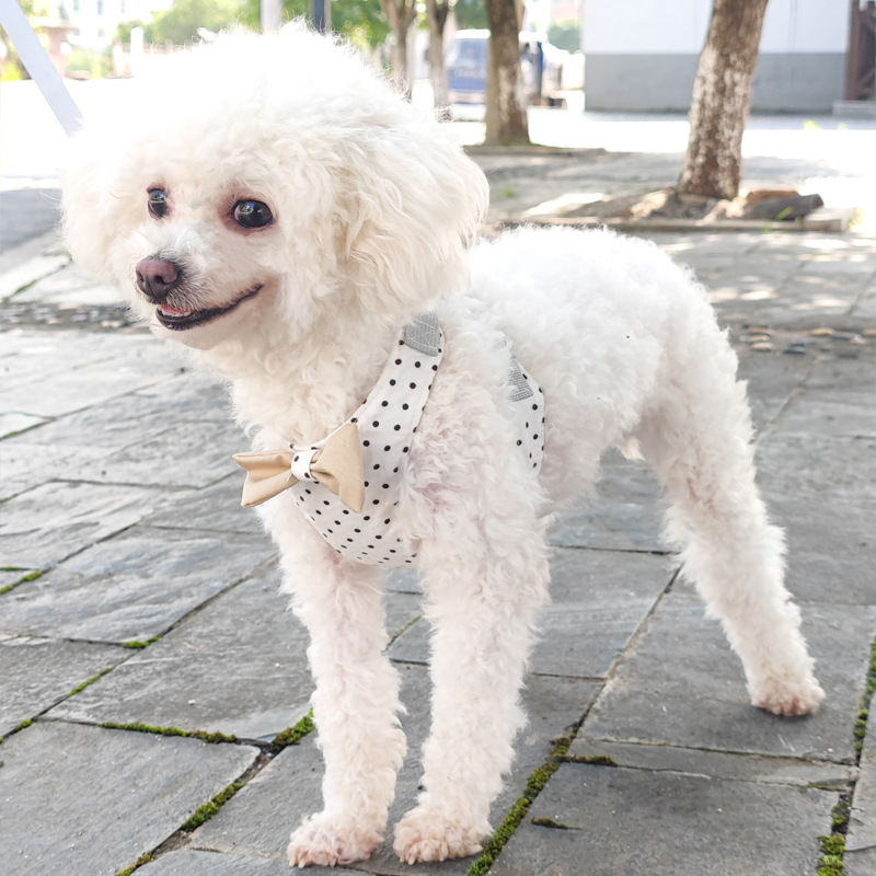 犬 ハーネス 水玉リボン付きハーネス