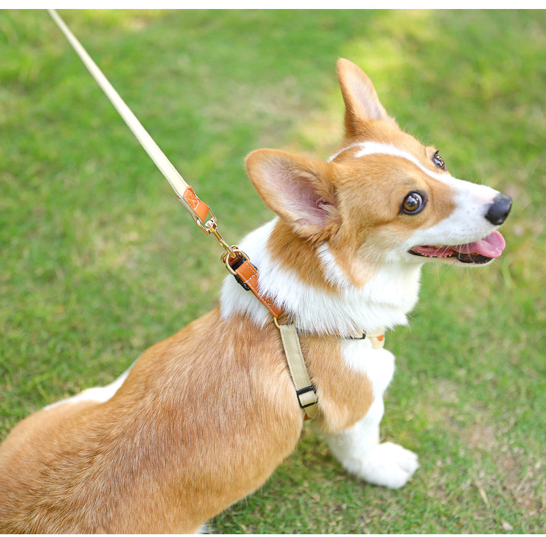 犬 ハーネス やさしい呼吸ゆったりハーネス