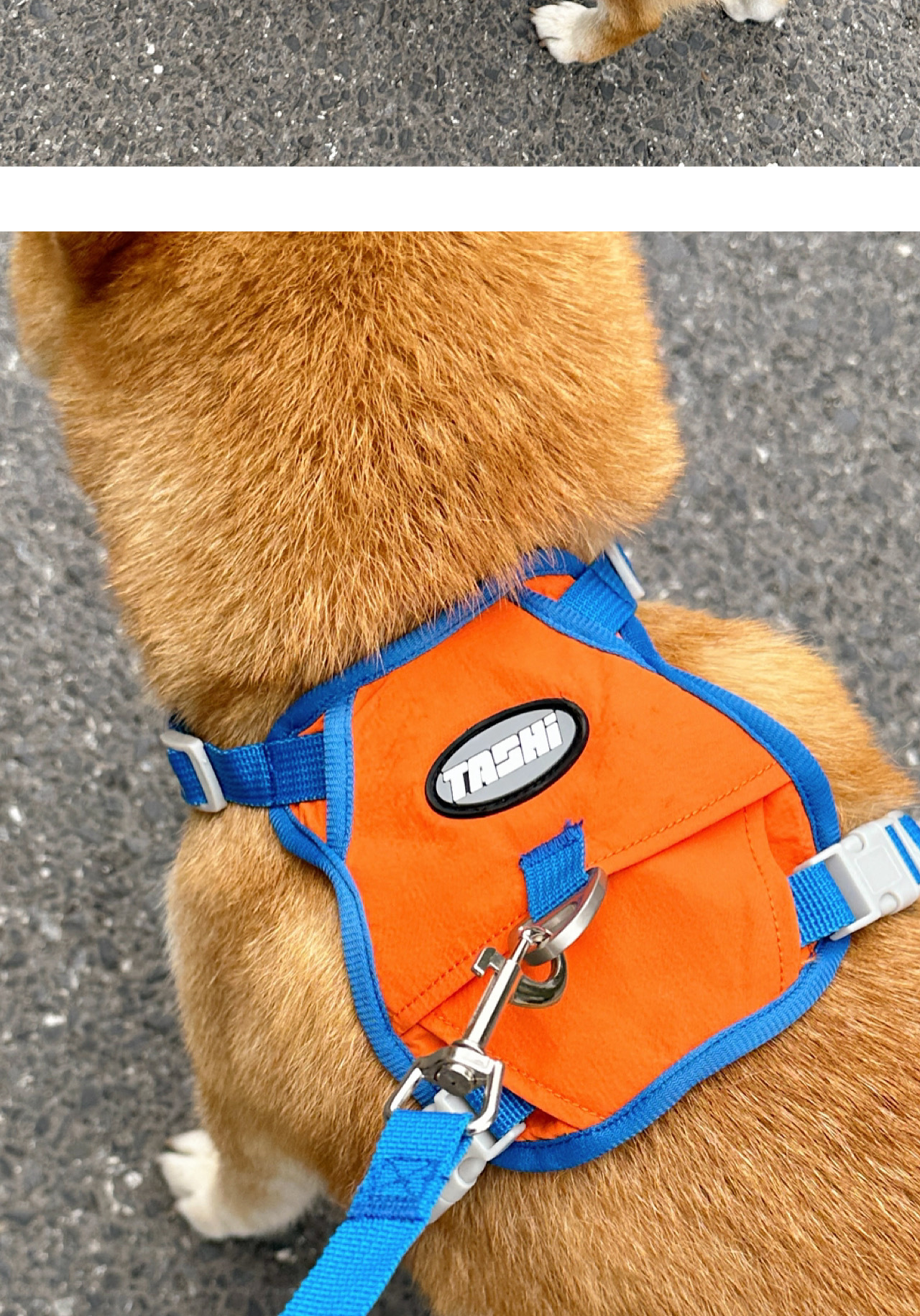 犬 ハーネス やさしさ包む 四季の散歩ハーネス