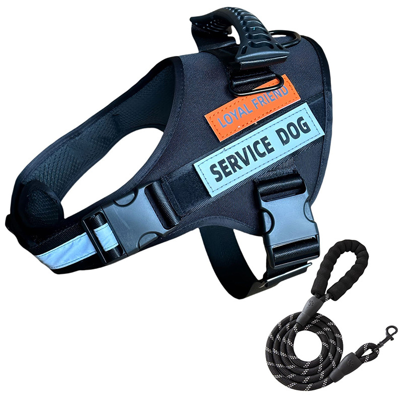 https://fulmo-img-server.com/wonderfulharness/226f2a87-5320-4625-92e5-e9813422f109.jpg