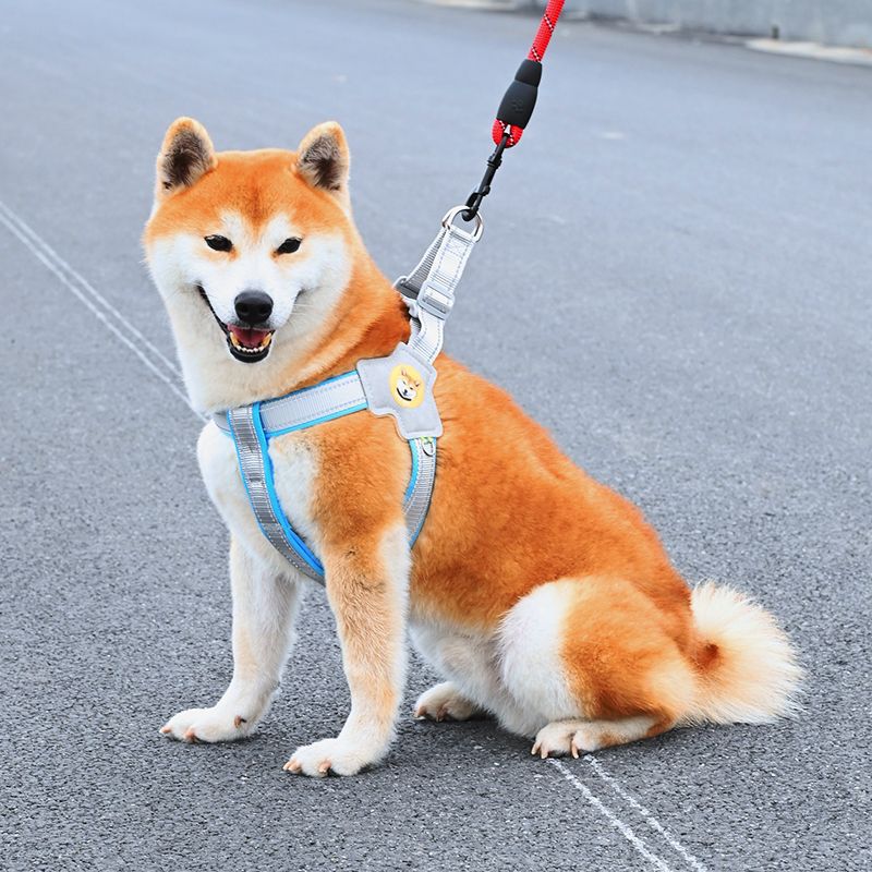 犬 ハーネス なめらか着心地 ソフトフィットハーネス