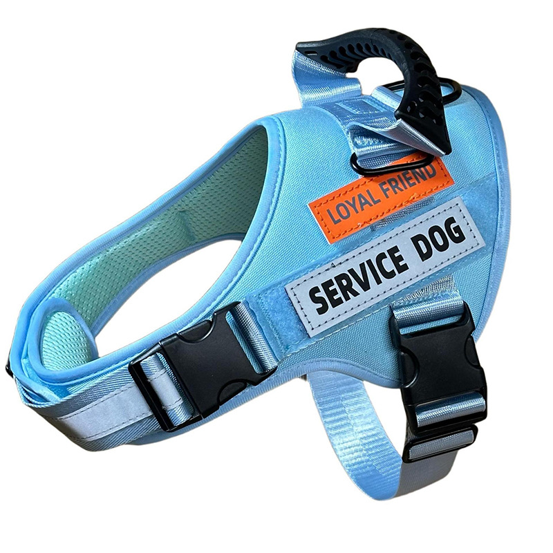 https://fulmo-img-server.com/wonderfulharness/232119ff-22c2-4dfb-a142-e18cf9f71134.jpg