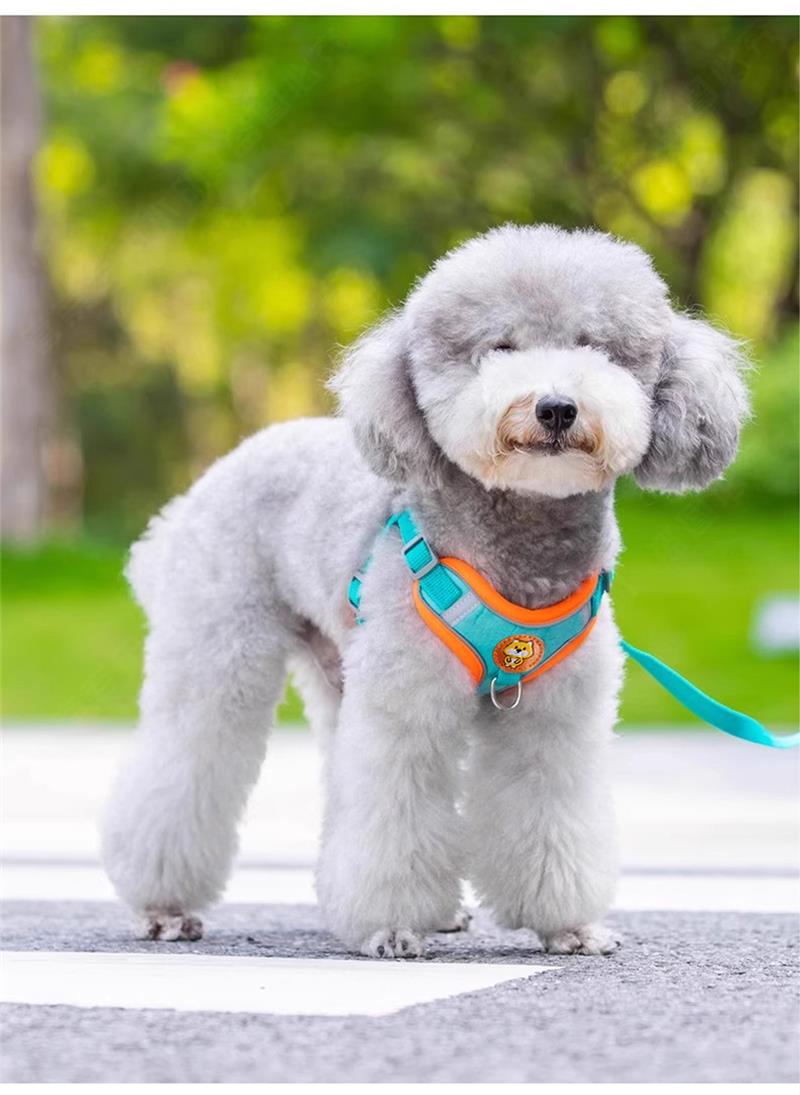犬 ハーネス やさしさ包む 軽やかハーネス