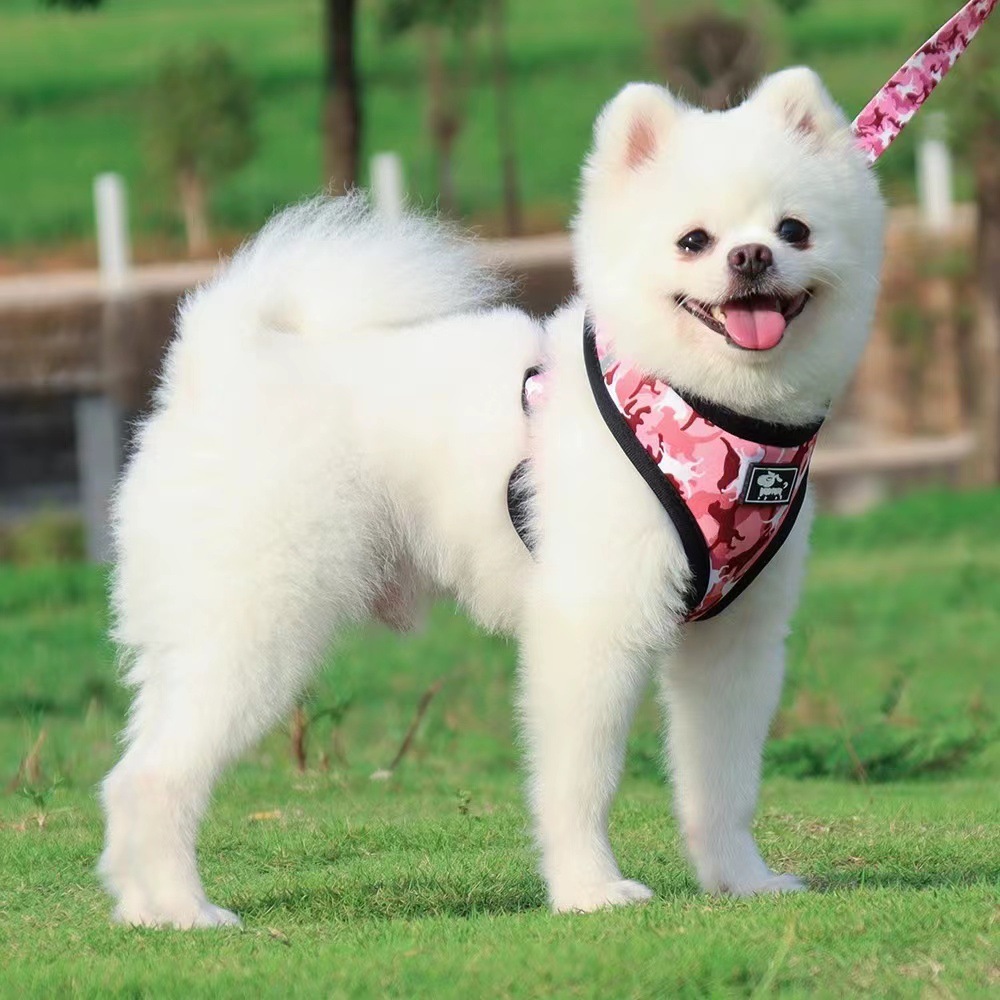 犬 ハーネス 迷彩柄ペット用お散歩セット