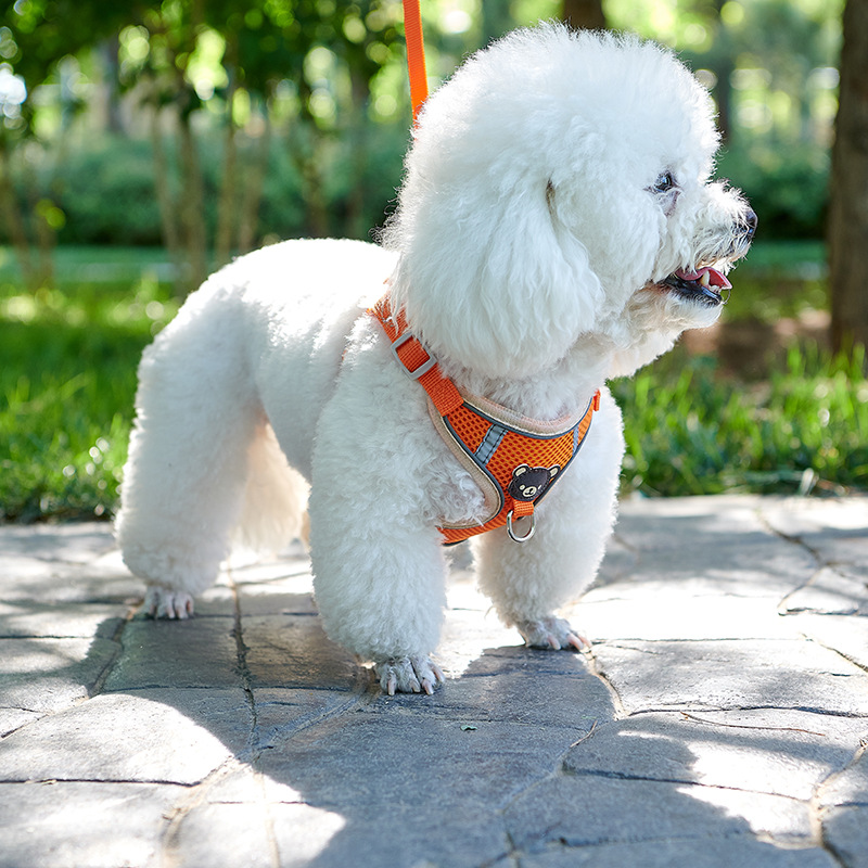 犬 ハーネス ふわもこワンちゃん用メッシュハーネス