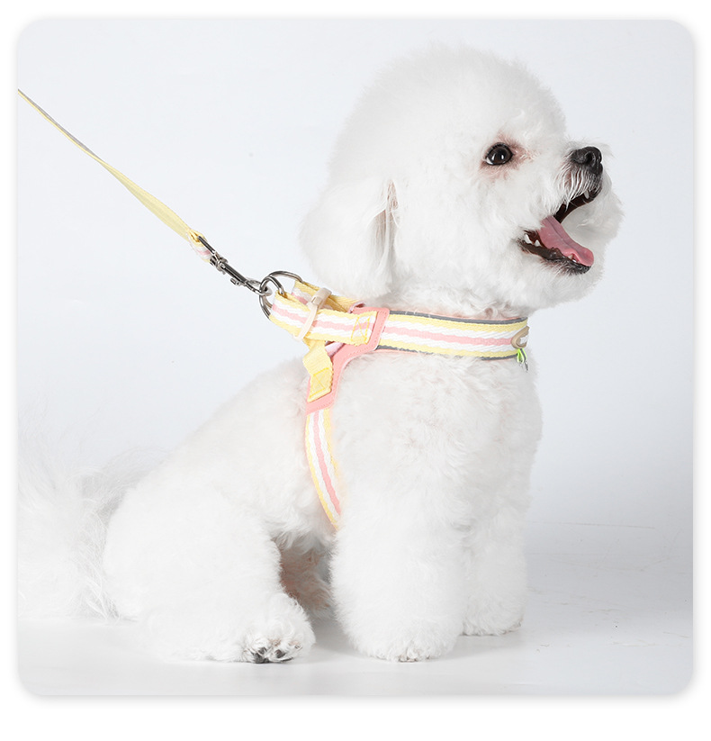 犬 ハーネス パステルストライプ ソフトハーネス
