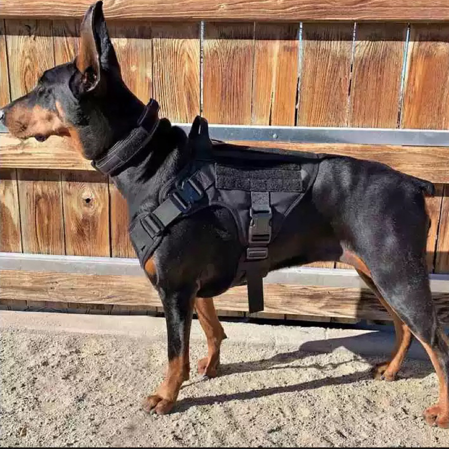犬 ハーネス 実用的な機能美 多目的戦術犬用ハーネス