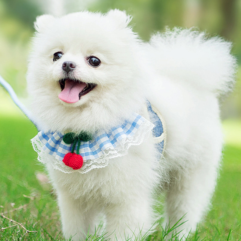 犬 ハーネス レース付き チェリーハーネス