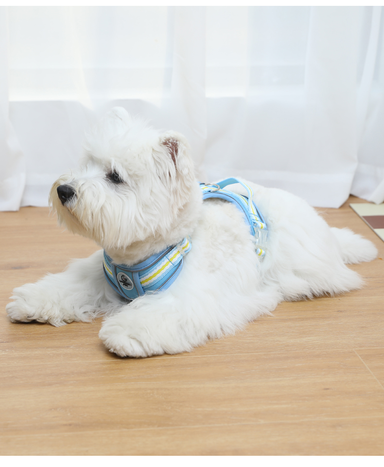 犬 ハーネス しなやか軽量 ペット用胴輪