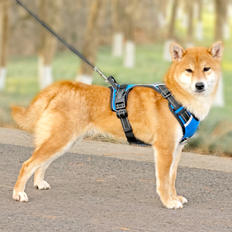 犬 ハーネス 軽量スタイリッシュ ホールドハーネス