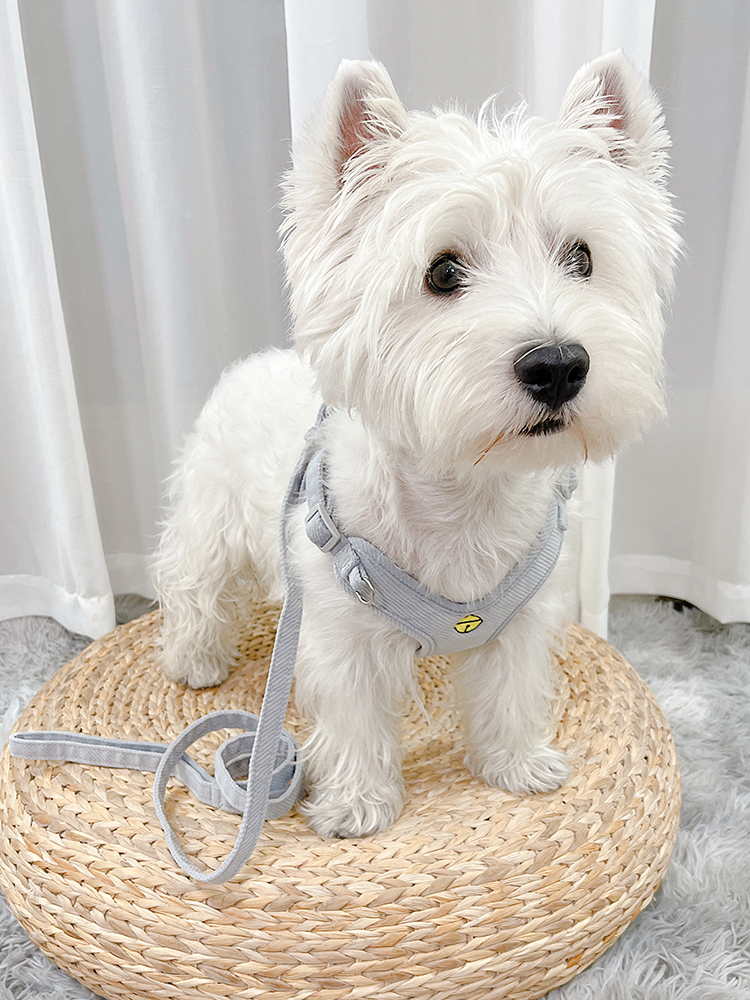 犬 ハーネス やさしさ包む ふんわりハーネス
