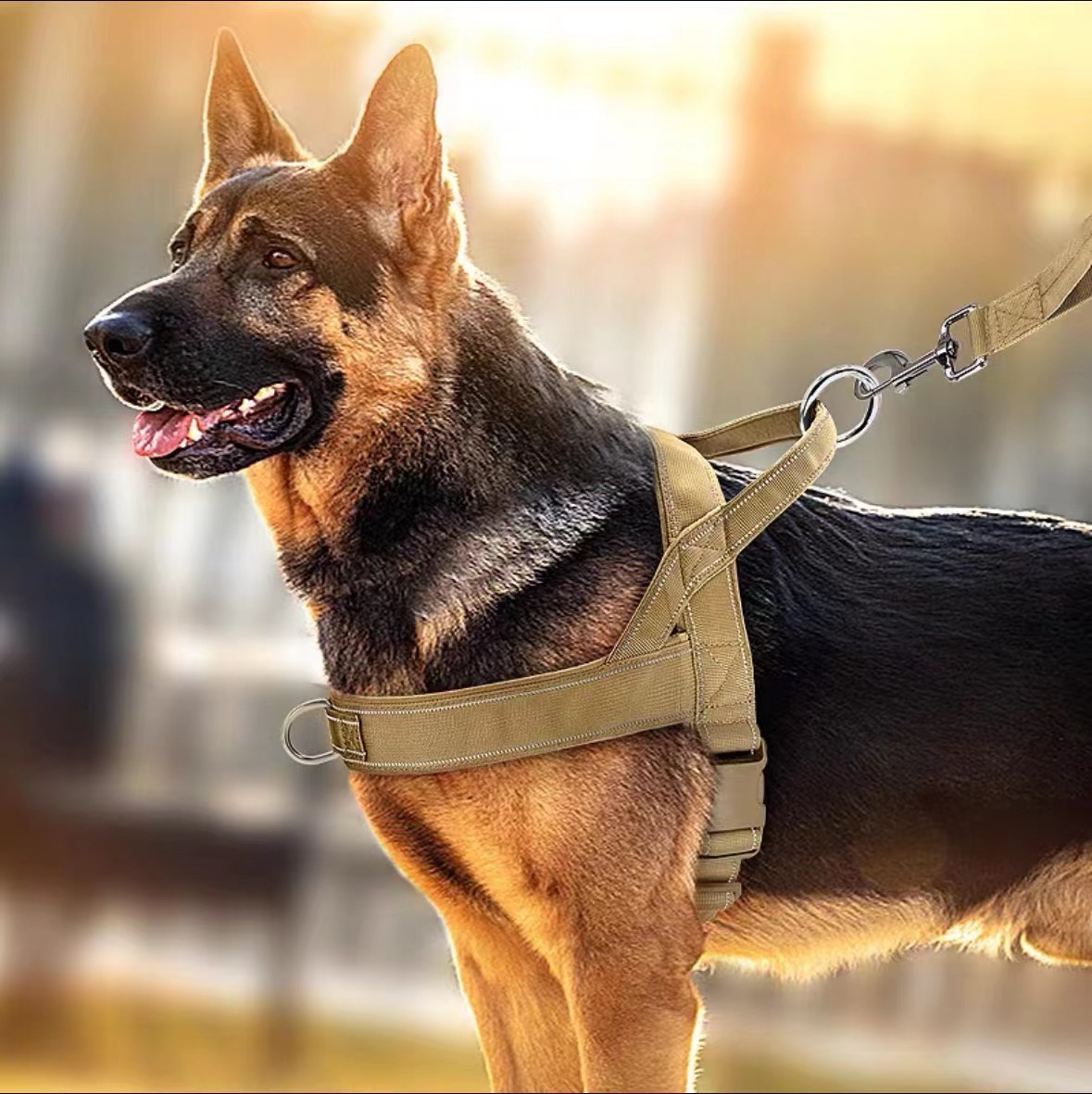 犬 ハーネス やさしい背中の軽量ハーネス