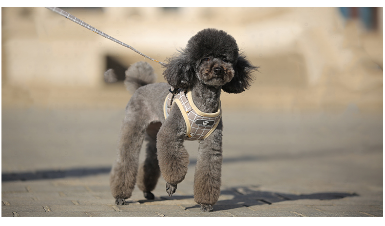 犬 ハーネス やさしい呼吸 フィット ハーネス