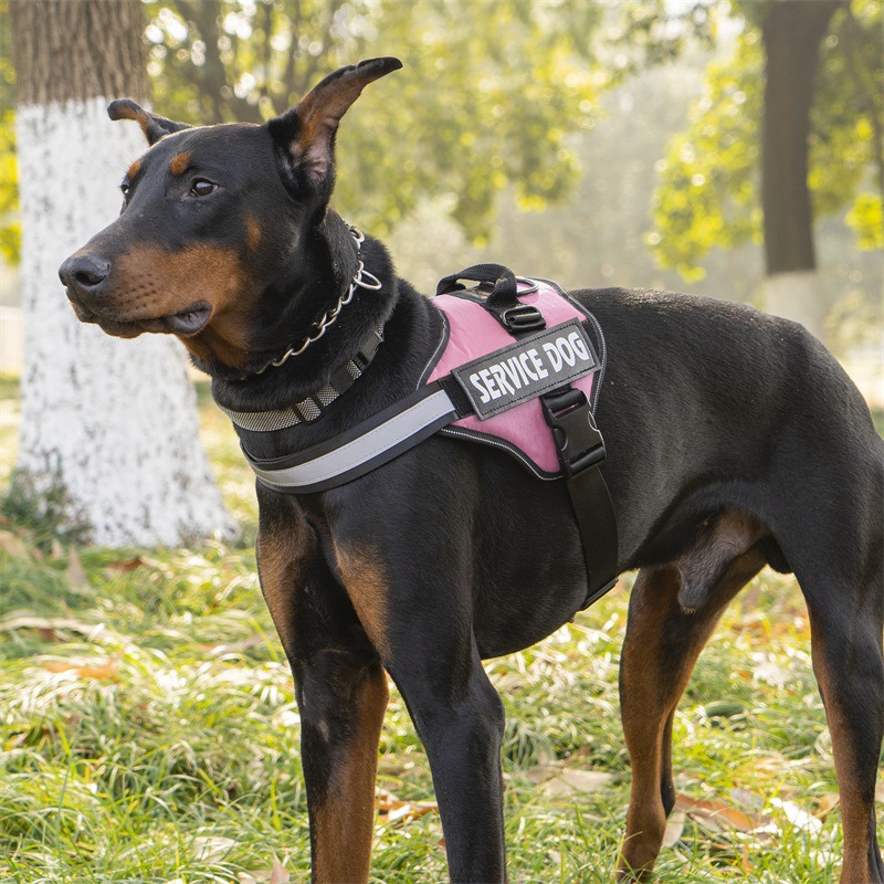 犬 ハーネス 介助犬用ソフトフィットハーネス