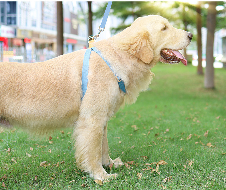 犬 ハーネス やさしい着け心地 ソフトハーネス
