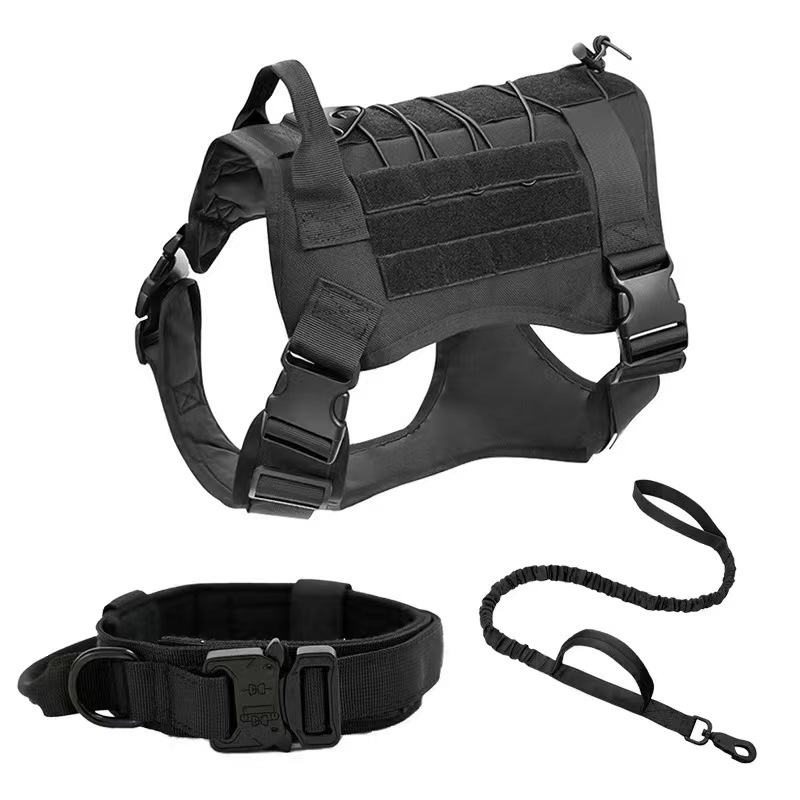 https://fulmo-img-server.com/wonderfulharness/2530f8a1-96ab-4fe1-be75-449f1dfae111.jpg