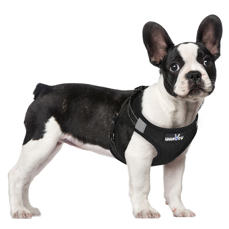 犬 ハーネス やさしフィットメッシュハーネス