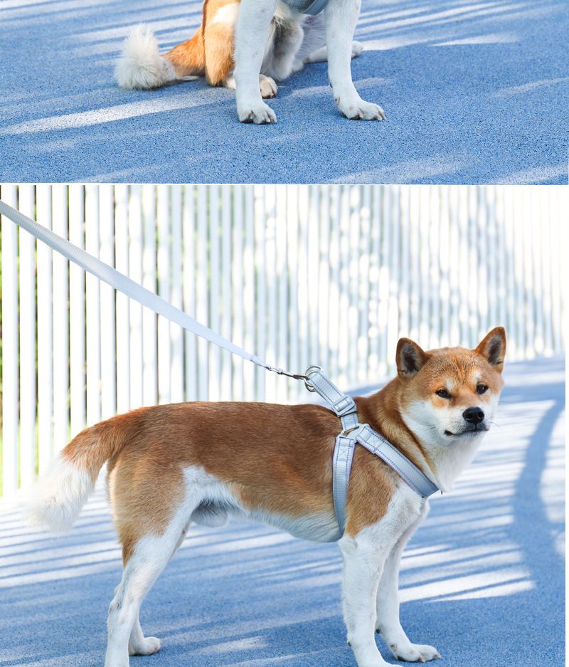 犬 ハーネス やわらか快適 シンプルメッシュハーネス