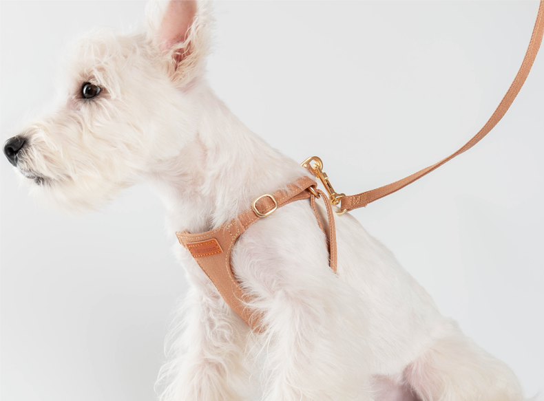 犬 ハーネス 上質なめし革のやさしいハーネス