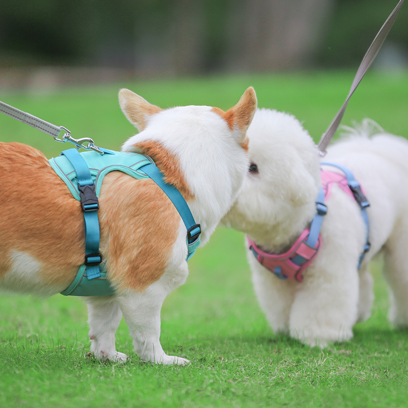 犬 ハーネス やさしフィット ペット用胴輪