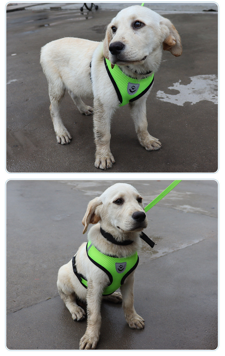 犬 ハーネス メッシュ通気性ハーネス