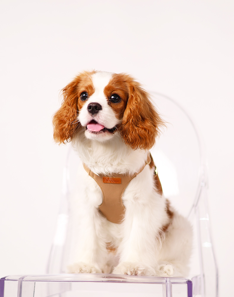 犬 ハーネス やさしさ包むふんわりハーネス