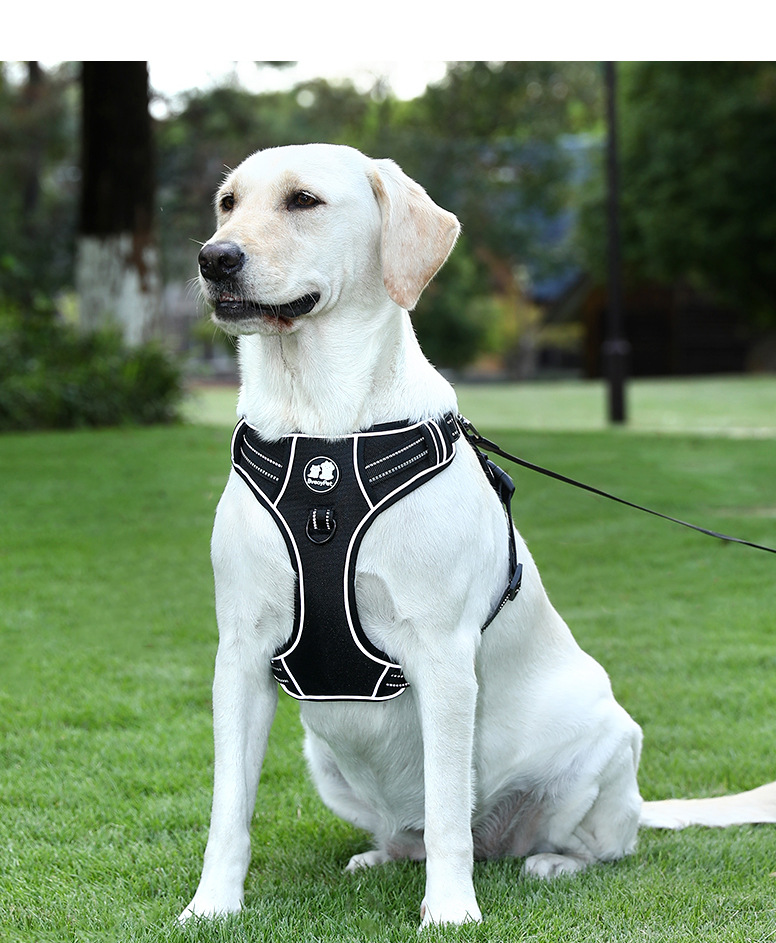 犬 ハーネス ソフトフィット安心ハーネス