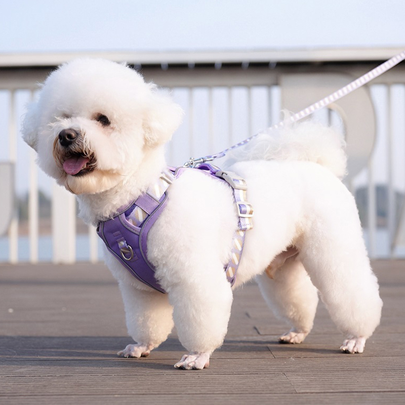 犬 ハーネス やさしさ包む ふわり軽量ハーネス