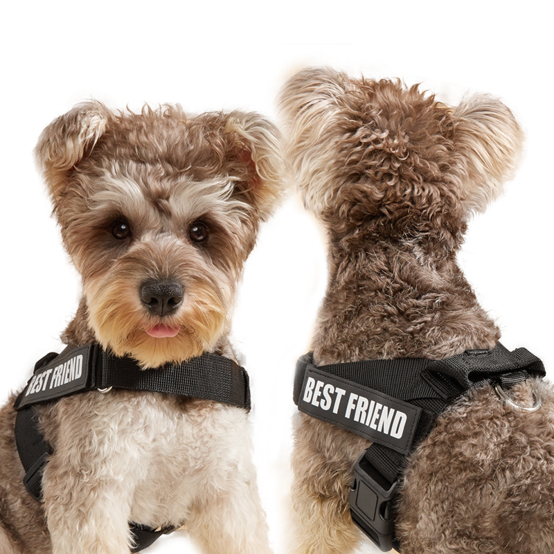 犬 ハーネス 愛犬メッセージハーネス