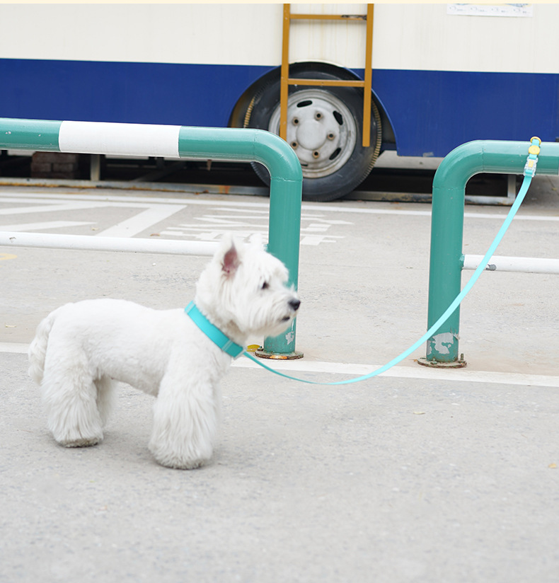 犬 ハーネス やわらか素材のシンプル首輪