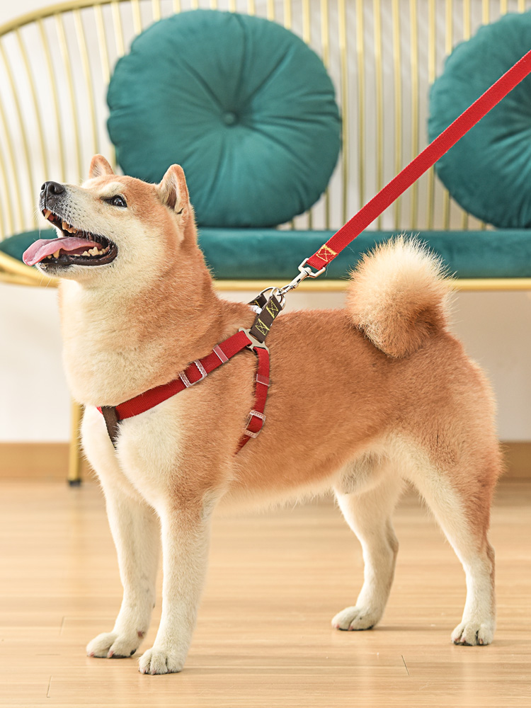 犬 ハーネス やさしさ包む シンプル基本ハーネス